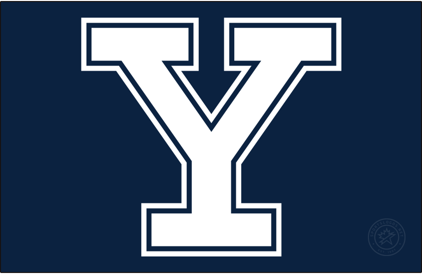 Yale Bulldogs 2019-Pres Primary Dark Logo iron on transfers for clothing